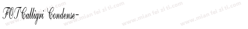 FOTCalligri Condense字体转换